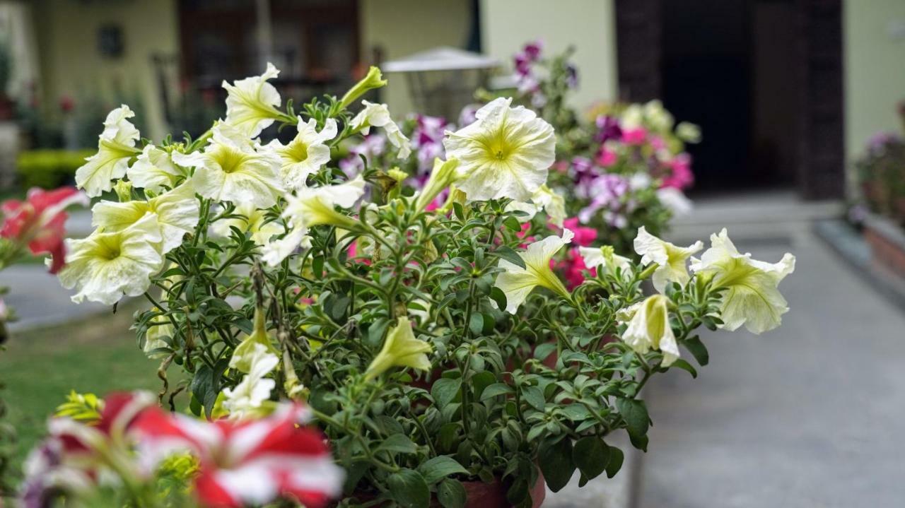 Kathmandu Garden Home Luaran gambar